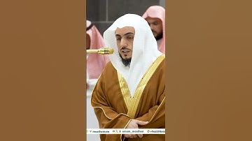 وما خلقنا السماء والأرض وما بينهما باطلًا | تلاوة عطرة من سورة ص | الوليد الشمسان جمادى الآخرة 1446