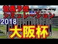 大阪杯 2018 競馬予想シミュレーション by StarHorsePocket(SEGA)