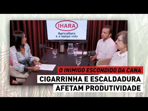 RPA News - O Inimigo Escondido da Cana