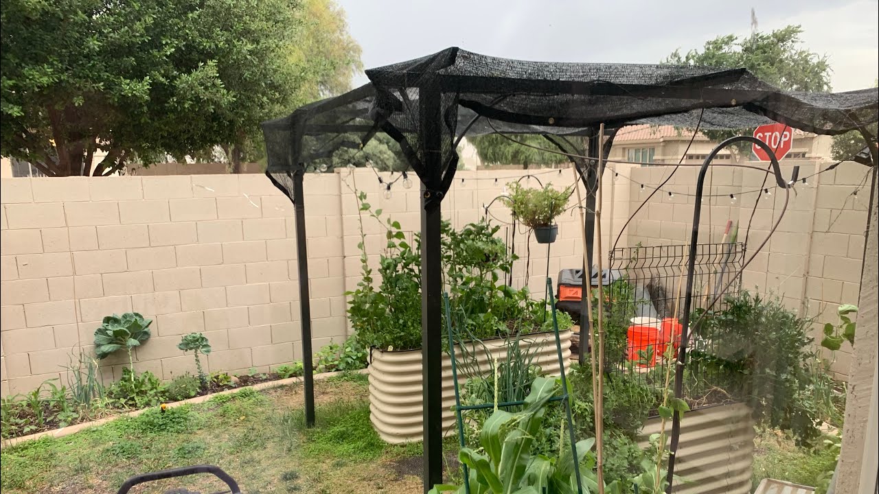 Battening down the hatches as a dust storm rolls in YouTube