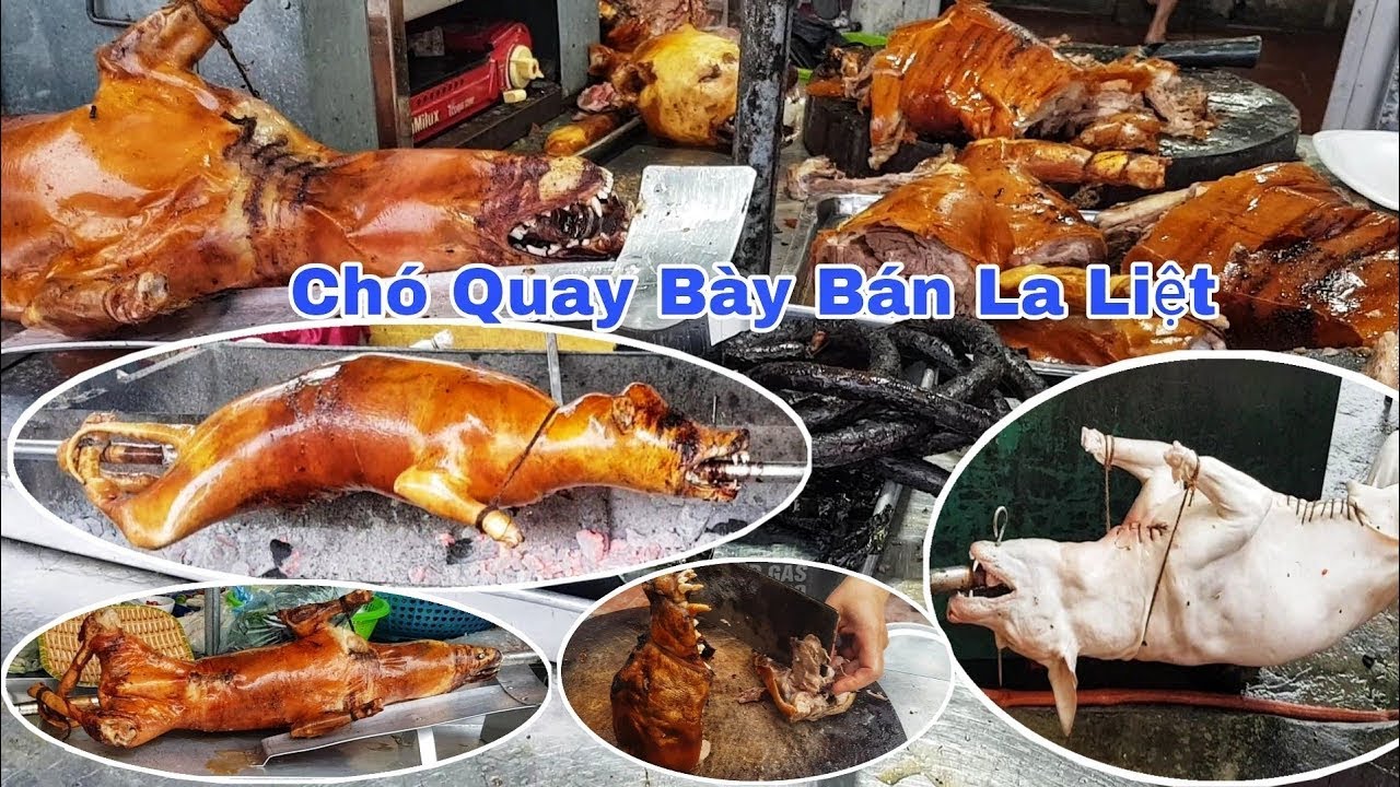 Food VN Review - Quán Thịt Chó Quay Nổi Tiếng Thơm Ngon #2 - dog meat ...