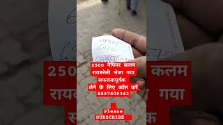 रायबरेली के लिए taiwangaintkingrass 2500 कलम भेजी गई 8887608342 napier viral supernapiergrass