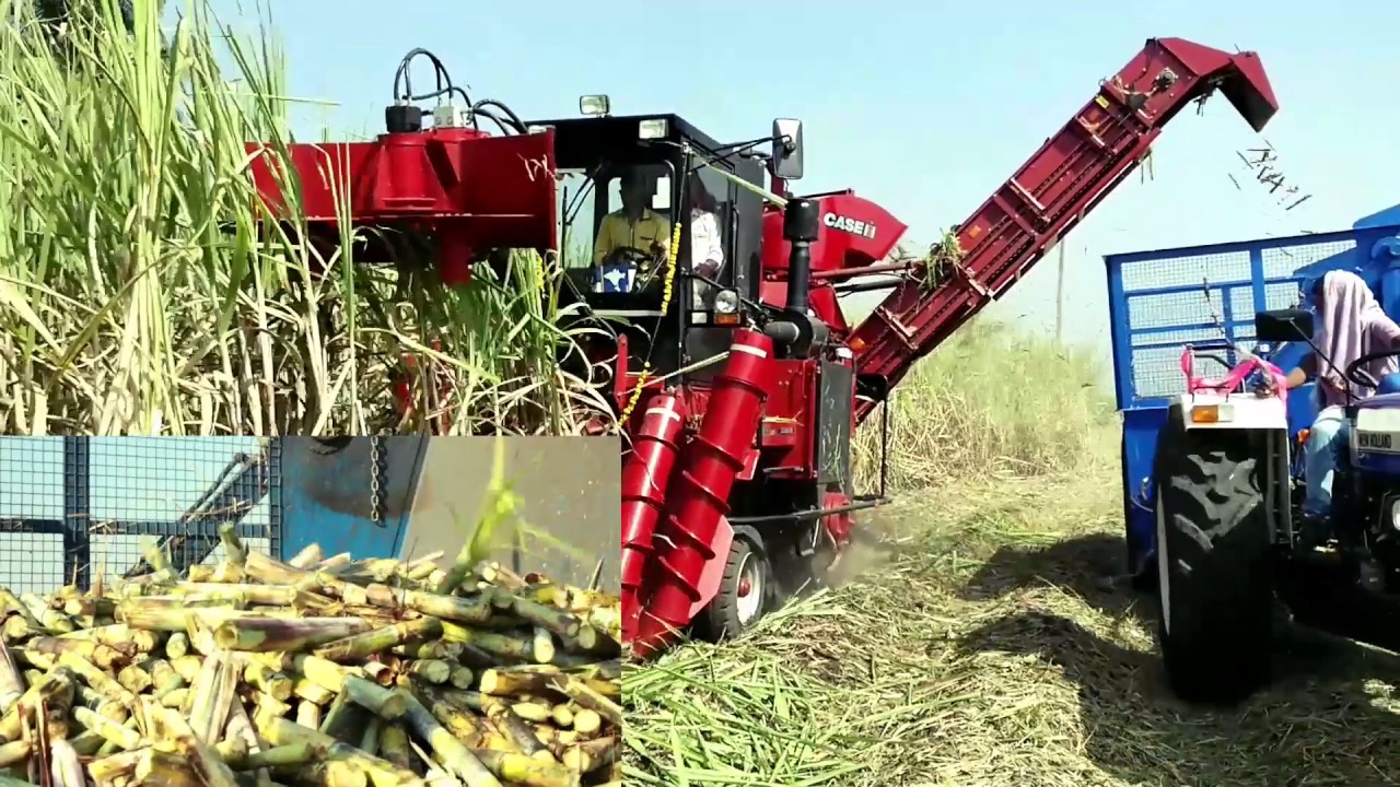 Indian record breaker! The Case IH Austoft 4000 Double Plus+ cane ...