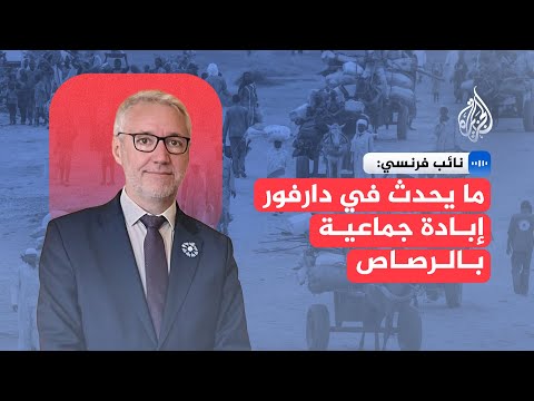 نائب فرنسي ما يحدث في دارفور إبادة جماعية بالرصاص