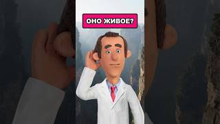 🗣️ Откуда берется эхо и почему оно повторяет слова? #shorts