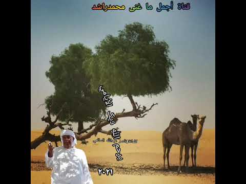 محمد راشد يرحم الله ذيك الأيامي كلمات ناصر عبدالله السالمي 