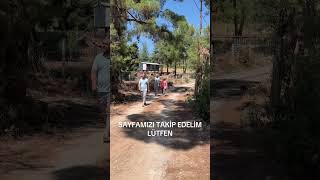 Bizim Köyün Yaylası. Olukbaşı Köyü. 11 Ağustos 2025. Foto Ayfa Resimi