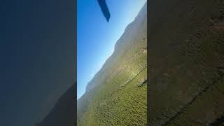 IMG 8958