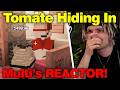 Multi Reunites With Nacho And KatieB With Tomate! QSMP 2