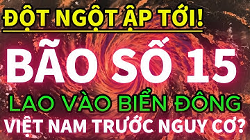 🔥 KHẨN: BÃO SỐ 15 HÌNH THÀNH TRÊN BIỂN ĐÔNG? NGUY CƠ ĐỔ BỘ TRUNG BỘ!