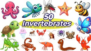 Invertebrates||🐛 Learn 50 Invertebrates Name With Picture#invertebrates #educational