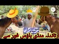 mandi sha pur kanjra horse for sale