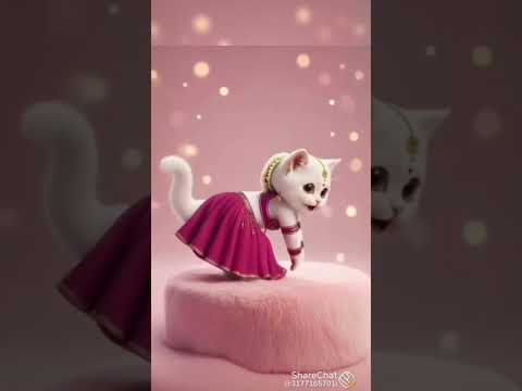 Bailone Balipalika Song Cutedance Catshorts