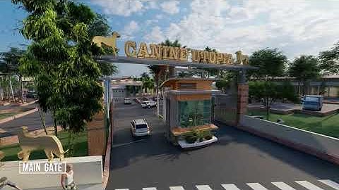 Architecture Thesis - Canine Utopia / Walkthrough / B.Arch /Thesis project 2020