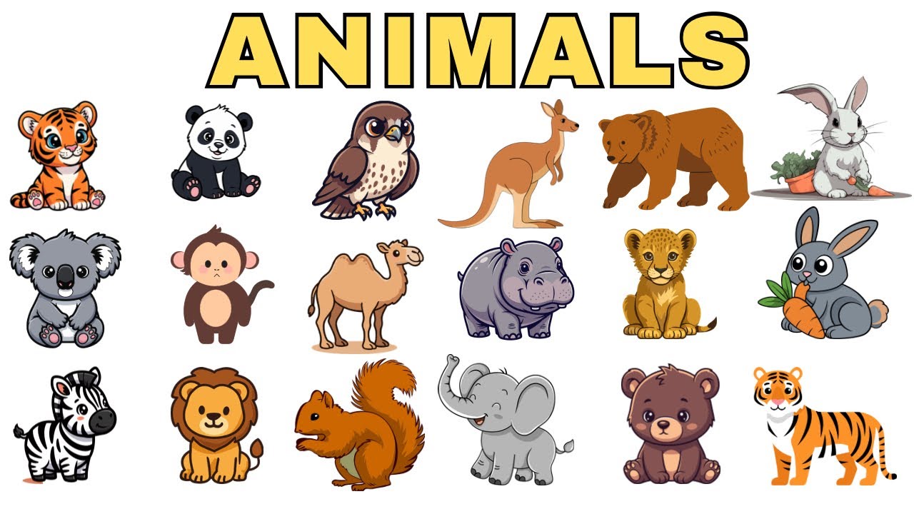 20 Animals Names for Kids | Animals Names for baby