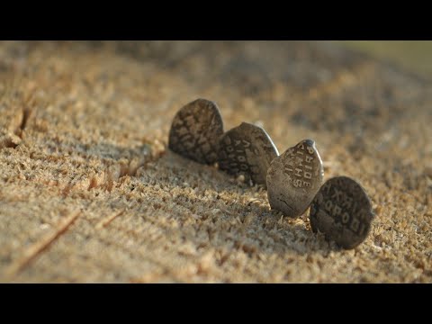Старинное место в лесу.