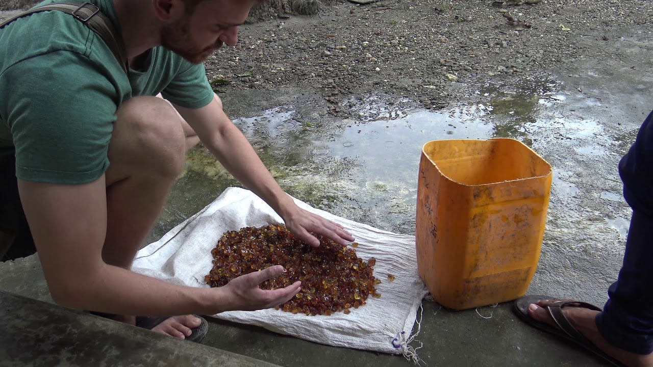 Sifting through cretaceous amber in Northern Myanmar