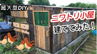 [超大型DIY]4万円台で２坪の豪華なニワトリ小屋を約13日かけて１人で建ててみた！