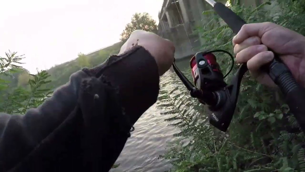 Siluro spinning (il buongiorno quello bello)