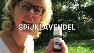 Afl. 26 Hihahilarius En De Geurambassadeur Kriebel Krabbel Muggen