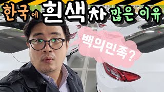 우리나라에 흰색차 많은 '진짜' 이유?  (백의민족, 진주색, 자동차 컬러, 통계자료,라쿠카라차)