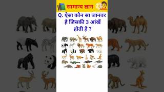 Top 20 GK Question 🤔💥 || Gk Question and Answer || Gk In Hindi || #gk #gkinhindi #gkquiz #shorts
