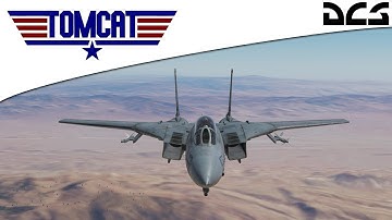 DCS World || How to dogfight in the F-14B Tomcat
