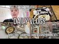 Daily vlogs  tiktok ban thrifting did i get scammed