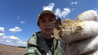 Я нашёл очень редкую монету