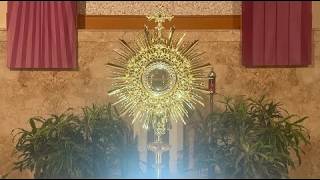 Monday Evening Eucharistic Adoration // 6:00pm // July 13, 2026
