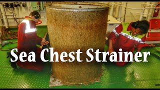 Sea Chest in Ship Explained | Strainer Cleaning & Inspection | Marine Engineer | RoamerRealm