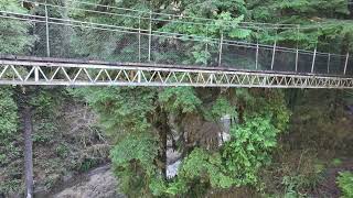 The Swinging Bridge @ Drift Creek Falls