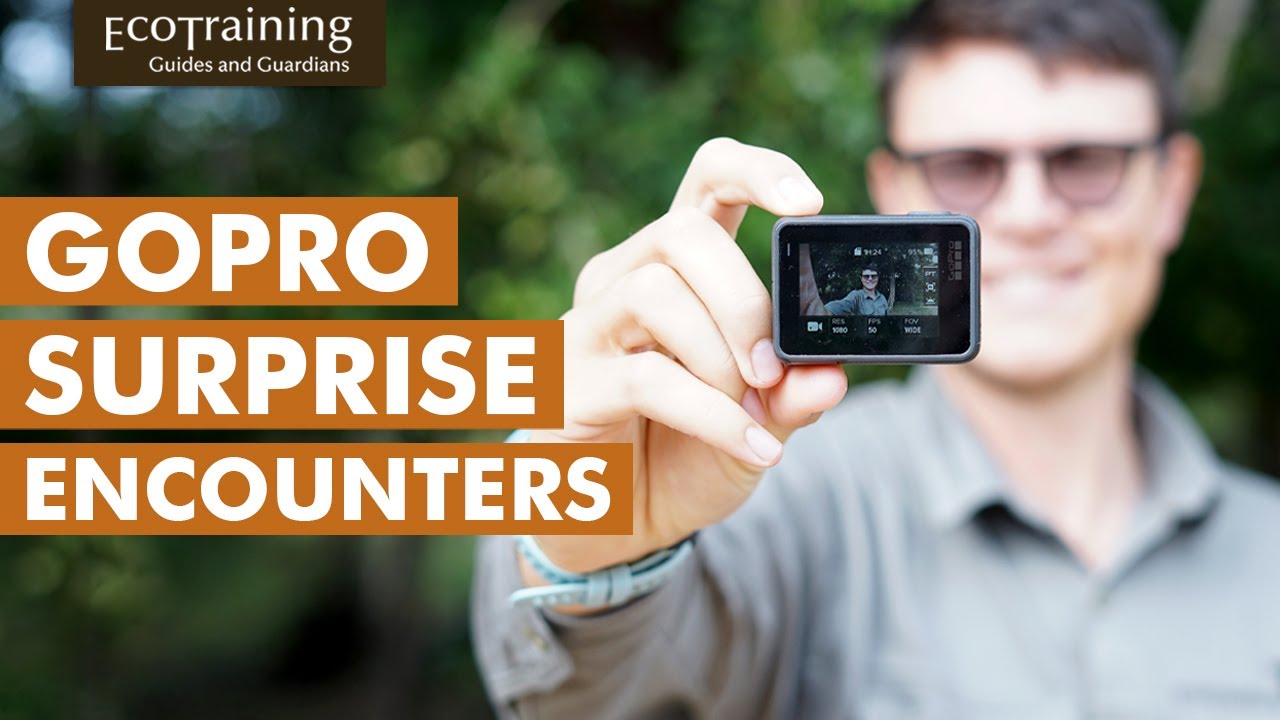 Gopro surprising encounters | EcoTraining Highlights