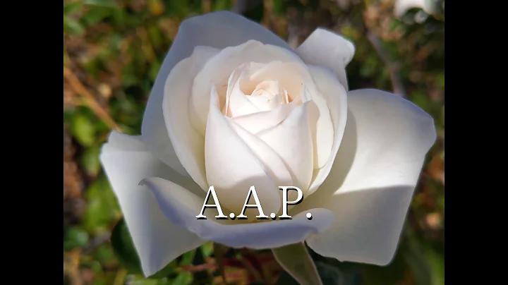 A humbled, saintly woman who never wanted any reco...