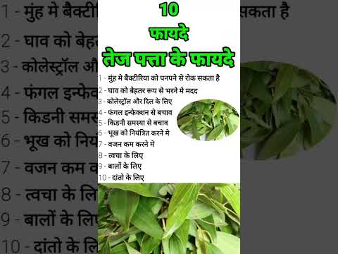 त ज पत त क फ यद Health Healthy Tej Patta Shorts