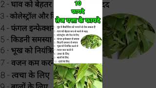 Download Lagu तेज पत्ता के फायदे #health #healthy #tej patta #shorts MP3