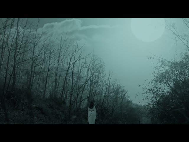 Dilberam Dilber - Aziz Ekinci