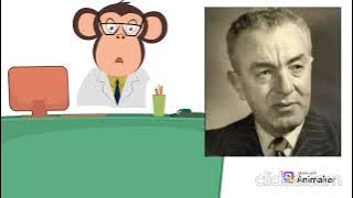 hoamsh aal dftr ahoal msr 8 C1AiXx9B