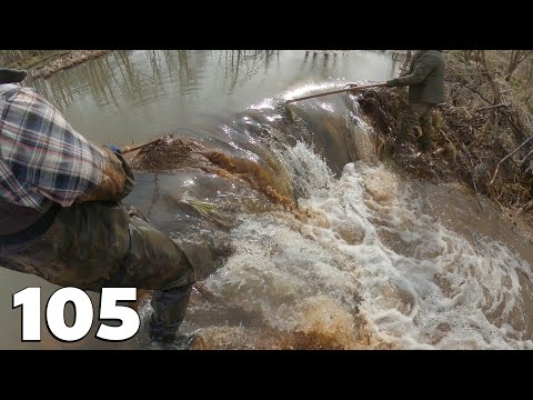Manual Beaver Dam Removal No 105 