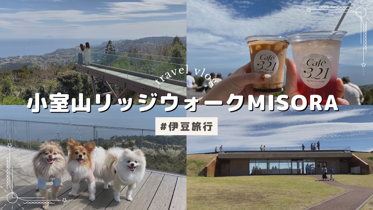【伊豆旅行】絶景スポット小室山リッジウォークMISOSAに愛犬と行ってきた