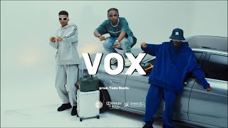 free Amapiano Type Beat  Amapiano Instrumental  Vox