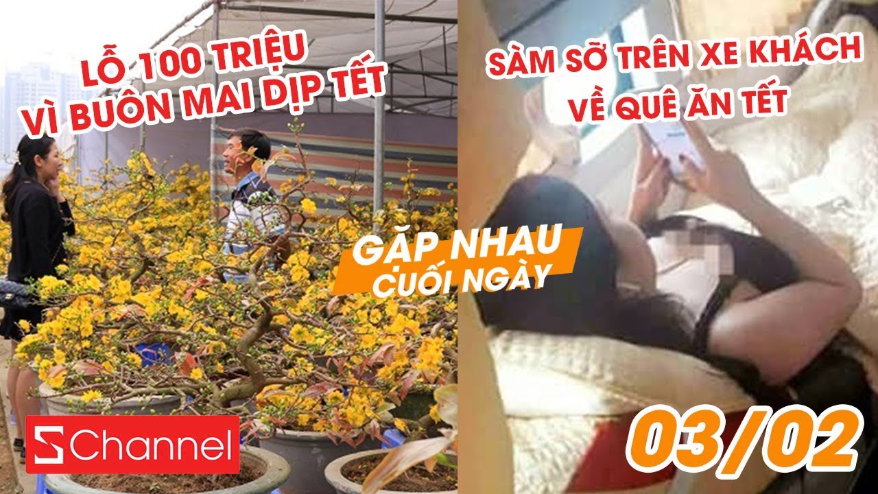 Lỗ 100 triệu vì buôn Mai dịp Tết | Nhiều vụ sàm sỡ trên xe khách về quê - GNCN 3/2 newsletter