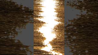 закат в СПб 2026 #петербург #spb #russia #закат #waves #волны #sunset #спб #россия #nowave #sun