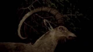 Générique American Horror Story Saison 3.