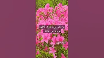 من #سورة_الشورى بصوت القارئ #سعد_الغامدى