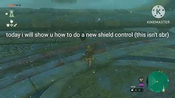 how to do a NEW SHIELD TECHNIQUE!(NOT SBR) |TOTK