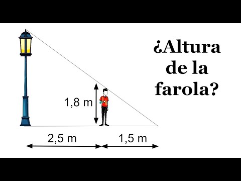 GEOMETRÍA BÁSICA. Halla