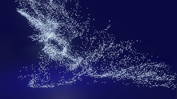 Particle Flourish - Blender Animation