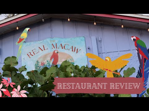 Best Naples Florida Restaurants - The Real Macaw