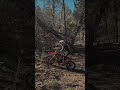 Smooth Log Step | Beta 390 RS in Prescott AZ #beta #dirtbike #enduro #prescottaz #riding